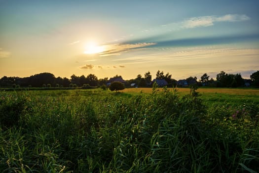 Landscape at the Barther Bodden, Fischland-Darss peninsula, Mecklenburg-West Pomerania, Germany