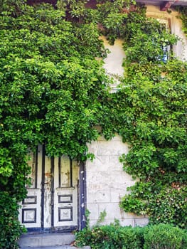 old back entrance in Zingst, Fischland-Darss peninsula, Mecklenburg-West Pomerania, Germany