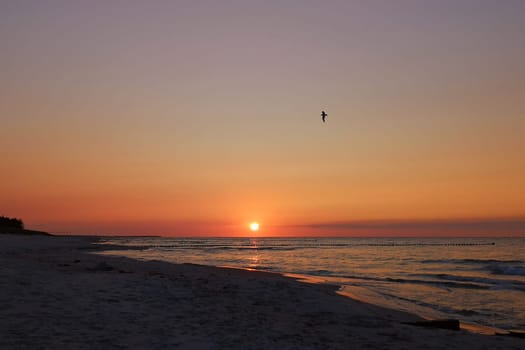 Sunset at the Baltic Sea coast near Zingst, Fischland-Darss peninsula, Mecklenburg-West Pomerania, Germany