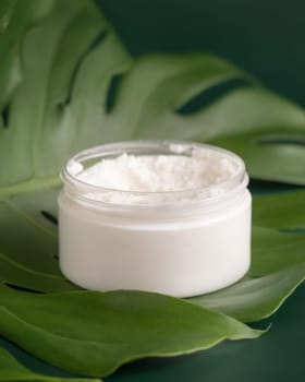 Opened White jar on monstera leaf on green table close up. Brand packaging mockup. Skincare beauty product, cream or butter. Making homemade herbal cosmetics from natural ingredients..