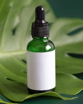 Dropper Bottle on tropical monstera leaf on green table close up. Brand packaging mockup. Aromatic oil, skincare beauty product, cream or serum. Natural herbal cosmetics concept..