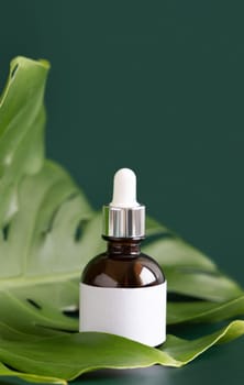 Dropper Bottle on tropical monstera leaf on green table close up. Brand packaging mockup. Aromatic oil, skincare beauty product, cream or serum. Natural herbal cosmetics concept..