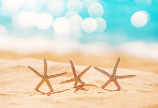 Starfishes on the beach sand in summer. Concept of tourism and vacation.