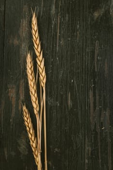 Wheat ears on rustic wooden table