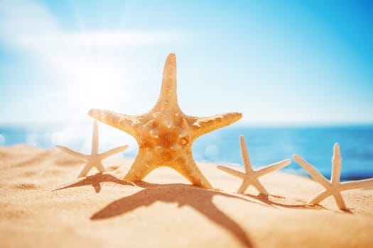 Starfishes on the beach sand in summer. Concept of tourism and vacation.