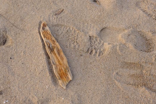 Old wooden piece on sand beach with imprint of shoes on sunset time