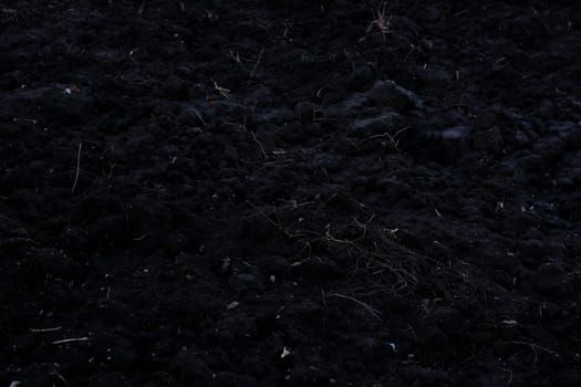 black soil. black ukrainian earth Care about environment or agriculture. Closeup. Point of view shot.