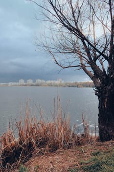 Beautifull aerial view to the Sumy and lake Cheha. Water landscape with city in cloudy day with old tree and reed.