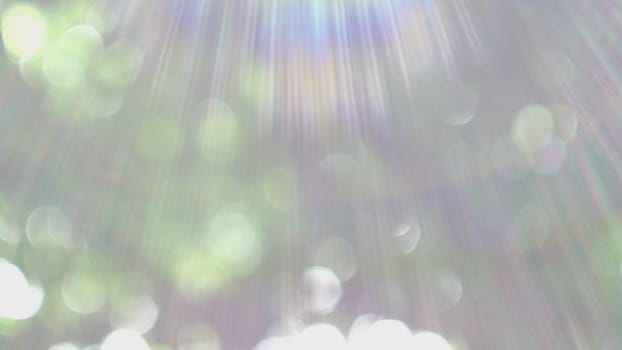Bokeh Light From The Sun Through The Leaves