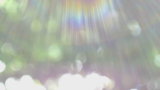 Bokeh Light From The Sun Through The Leaves
