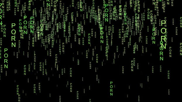 Porn data code on the web