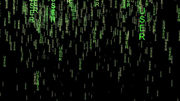 User data code on the web