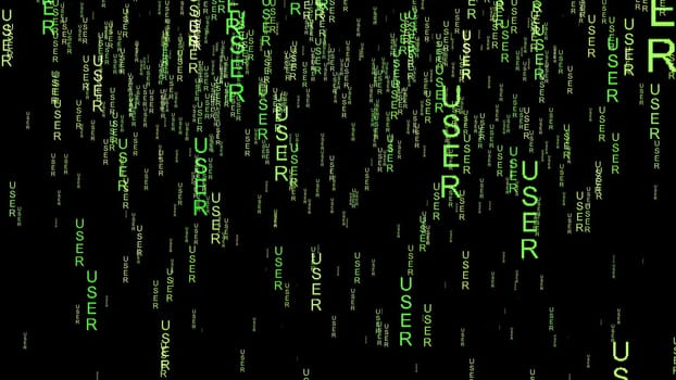 User data code on the web