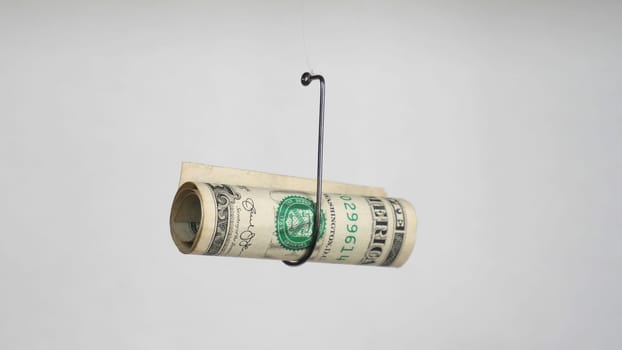 Dollar On A Fishing Hook Isolated On White Background