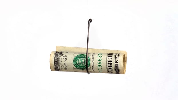 Dollar On A Fishing Hook Isolated On White Background