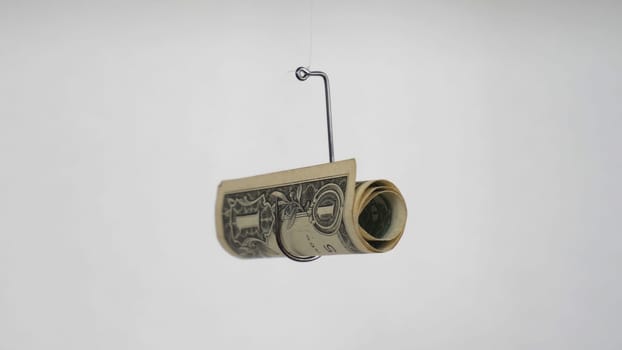 Dollar On A Fishing Hook Isolated On White Background