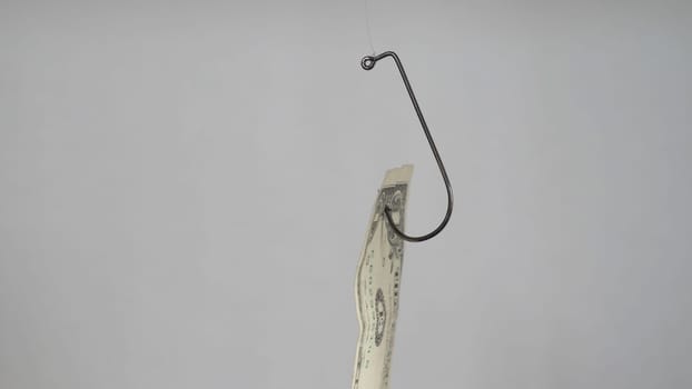 Dollar On A Fishing Hook Isolated On White Background