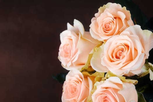 A bouquet of roses is beautiful, fresh, bright on a dark brown background. The flowers are large, juicy, fragrant. A layout for a greeting card or greeting card.