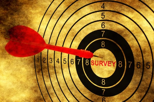 Survey target on grunge background