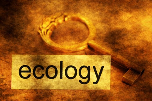 Ecology tag and old key