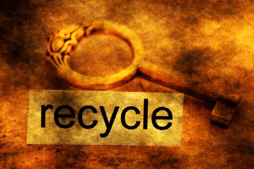 Recycle tag and old key