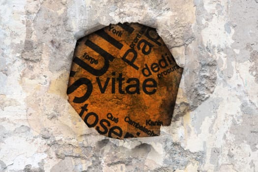 Vitae text on hole