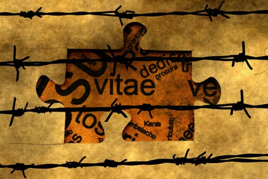 CV puzzle concept against barbwire