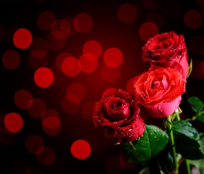 Red roses in front of red bokeh background. Valentines concept.