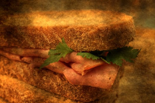 Salami sandwich on grunge background