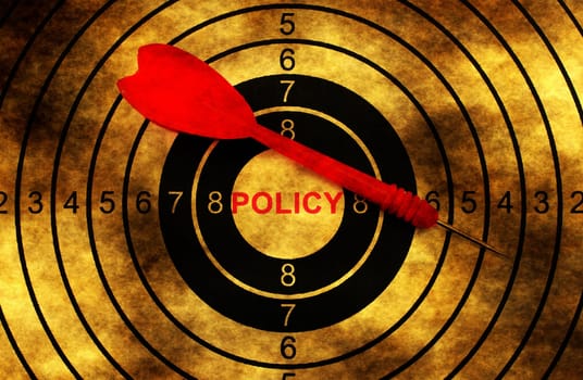 Policy grunge  target concept
