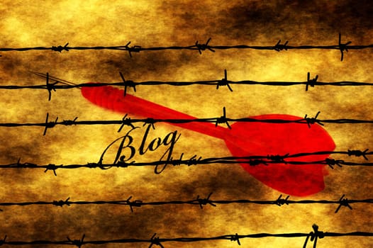 Blog and dart on barbwire