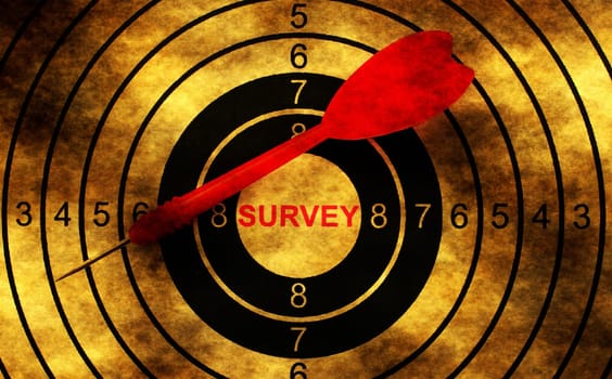 Survey target grunge  concept