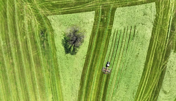 Aerial photo with drone of tractor making hay on a meadow with tree in bavaria