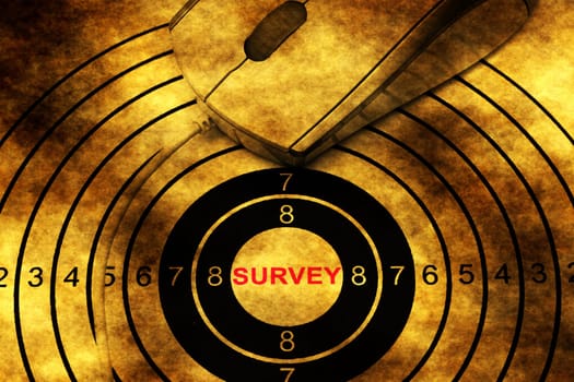Survey target and computer mouse concept