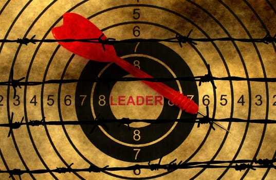 Leader target concept against barbwire
