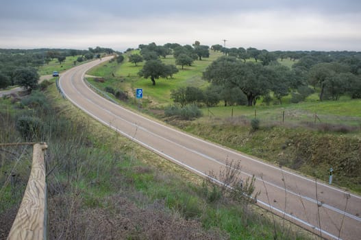 Sierra de San Pedro road EX-303, Extremadura, Spain. Declared as high scenic value road