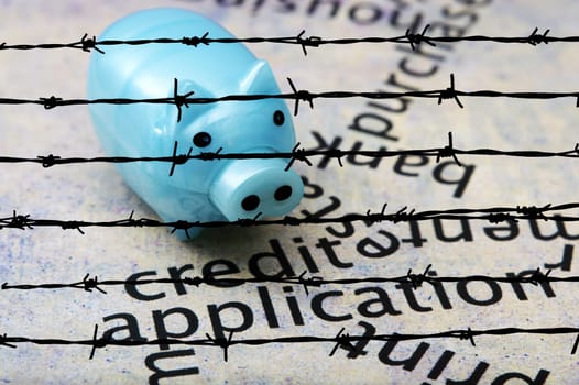 Piggy bank and credit concept