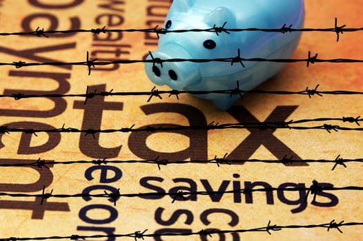 Piggy bank and tax concept