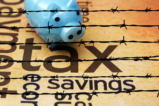 Piggy bank and tax concept