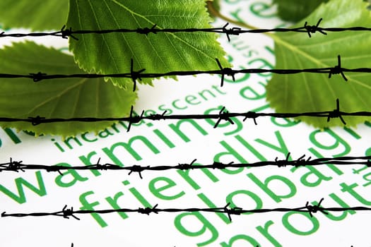 Green leaves and global warming concept