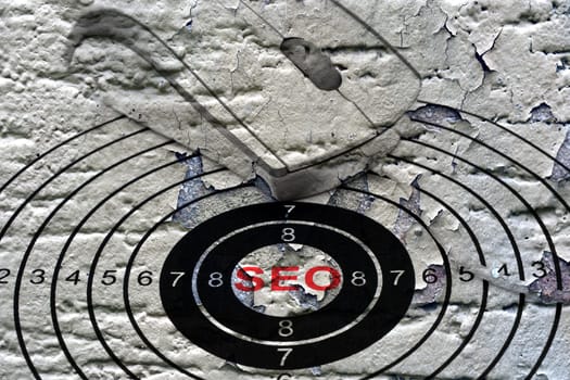 Seo target concept