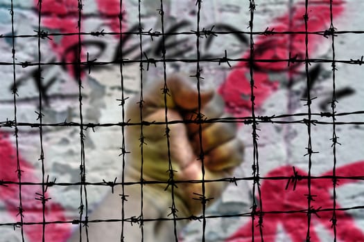 Freedom and Barbwire concept