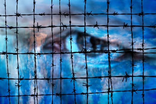 Eye against Barbwire