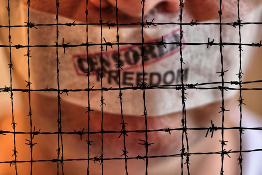 Censored freedom against Barbwire