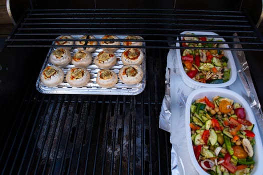 Irani or iraani paneer tikka, Tikka starter served in white dish with multiple dish