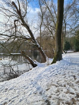 Calm pond on cold winter day. Peaceful lake water and snowy coast on cold gray day in winter countryside