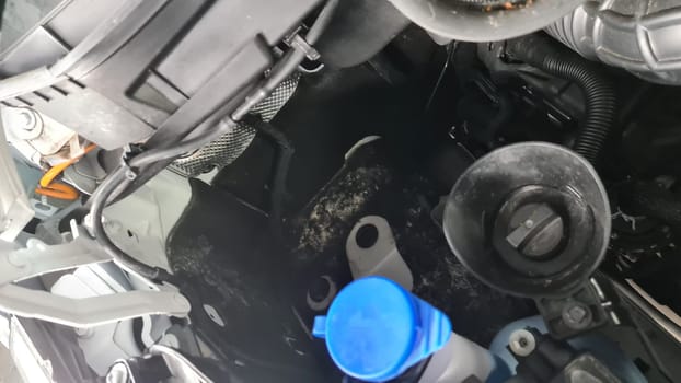 Mold in the engine compartment of a mobile home after a bad design of the drainage channel.Mold in the engine compartment of an RV