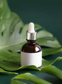 Dropper Bottle on tropical monstera leaf on green table close up. Brand packaging mockup. Aromatic oil, skincare beauty product, cream or serum. Natural herbal cosmetics concept..