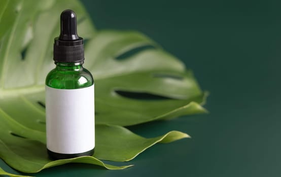 Dropper Bottle on tropical monstera leaf on green table close up. Brand packaging mockup. Aromatic oil, skincare beauty product, cream or serum. Natural herbal cosmetics concept..