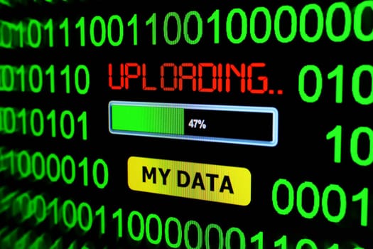 My data upload